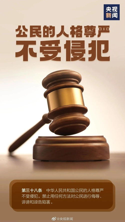 憲法日，這些法律知識你知道嗎？
